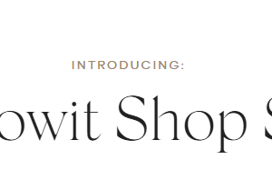 With Grace and Gold – The Showit Shop System